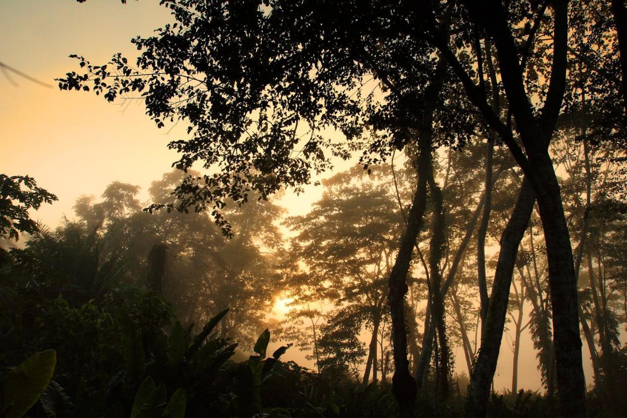 Wasai Tambopata Lodge Esterno foto